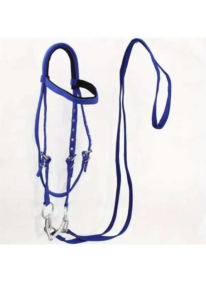 لجام الحصان الأزرق حبل اللجام أحكام متينة من البولي فينيل كلوريد غرز معززة تصميم مريح للمهور الصغيرة ملحقات معدات الفروسية التدريب - Image 1