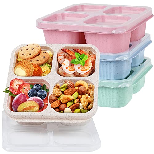 buluker 4 Pack Bento Snack Containers Set 4 Compartment Food Storage Containers Wheat Straw Meal Prep Lunch Box Plastic Food Storage container Microwave and Dishwasher Safe 4colour