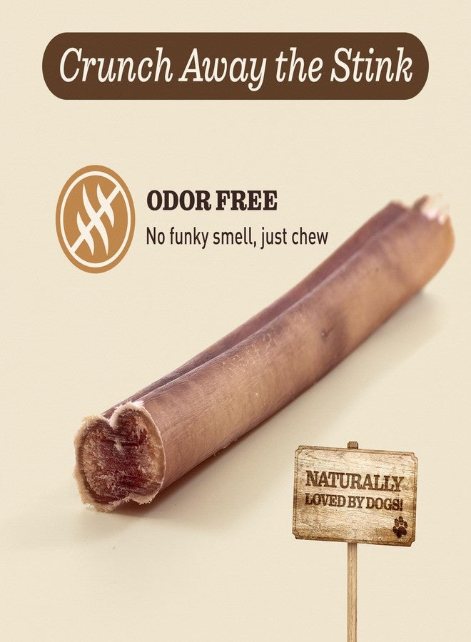 EVER FARM Odor-Free Bully Sticks (6", 25 Pack) – 100% Grass-Fed Beef Pizzle Dog Chews, Fully Digestible & Long-Lasting Dental Treats - Image 5