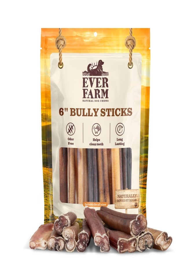 EVER FARM Odor-Free Bully Sticks (6", 25 Pack) – 100% Grass-Fed Beef Pizzle Dog Chews, Fully Digestible & Long-Lasting Dental Treats - Image 1
