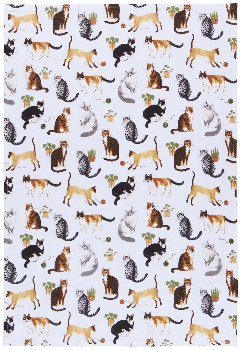 Now Designs Floursack Kitchen Towels Quick Dry Cotton Hand Towel Set, 3 Count, Cat Collective, 20 x 30 in - Image 3