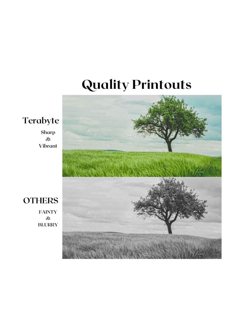 Terabyte تونر تيرابايت متوافق مع سامسونج MLTSCX4200 - Image 4