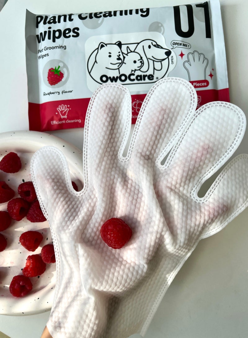 owocare Pet Wipes Glove Unscented 5pics - Image 3