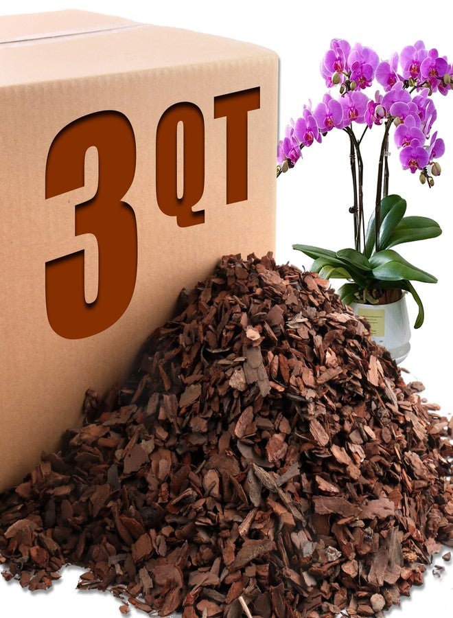 AVALUTION Orchid Potting Bark-3QT Organic Orchid Bark for Plants, All Natural Pine Bark Wood Chips Orchid Bark Potting Mix for Houseplant Mulch, Help Orchid Plants Root Health Development - Image 1