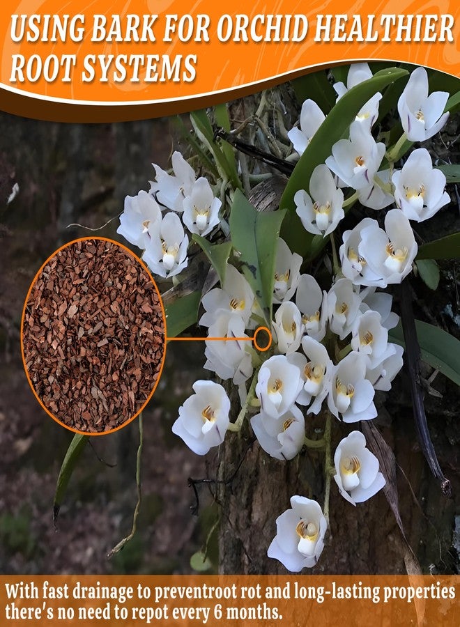 AVALUTION Orchid Potting Bark-3QT Organic Orchid Bark for Plants, All Natural Pine Bark Wood Chips Orchid Bark Potting Mix for Houseplant Mulch, Help Orchid Plants Root Health Development - Image 3