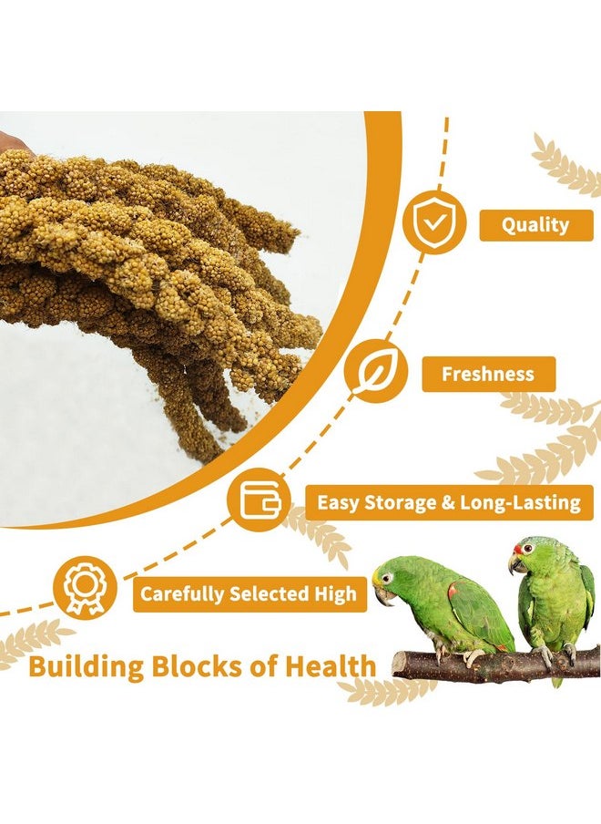 kathson Natural Sun-Dried Birds Millet Spray Millet Treat bird snacks for Parrots Cockatiels Lovebirds Painted Buntings and Finches Parakeets 1.1 LB - pzsku/Z573B4932ACBE1114AD56Z/45/_/1737031700/31d97735-61d3-4e25-af9e-aa9562b839c4