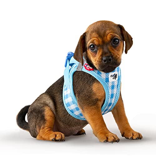 Curli Vest Harness curli Clasp AirMesh SkyBlueCaro 2XS Leash M - Image 3