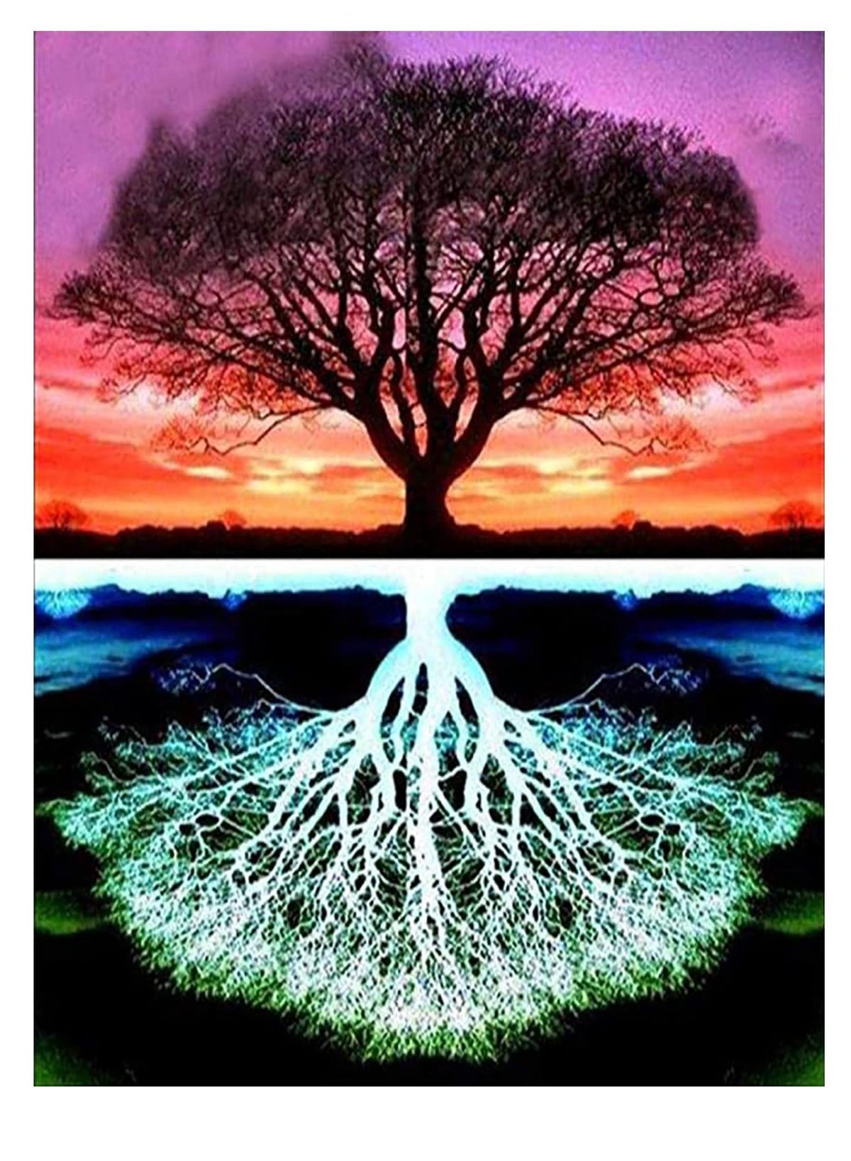 Generic Diamond Painting Flowers DIY 5D Full Drill Kits for Adults Gem ...