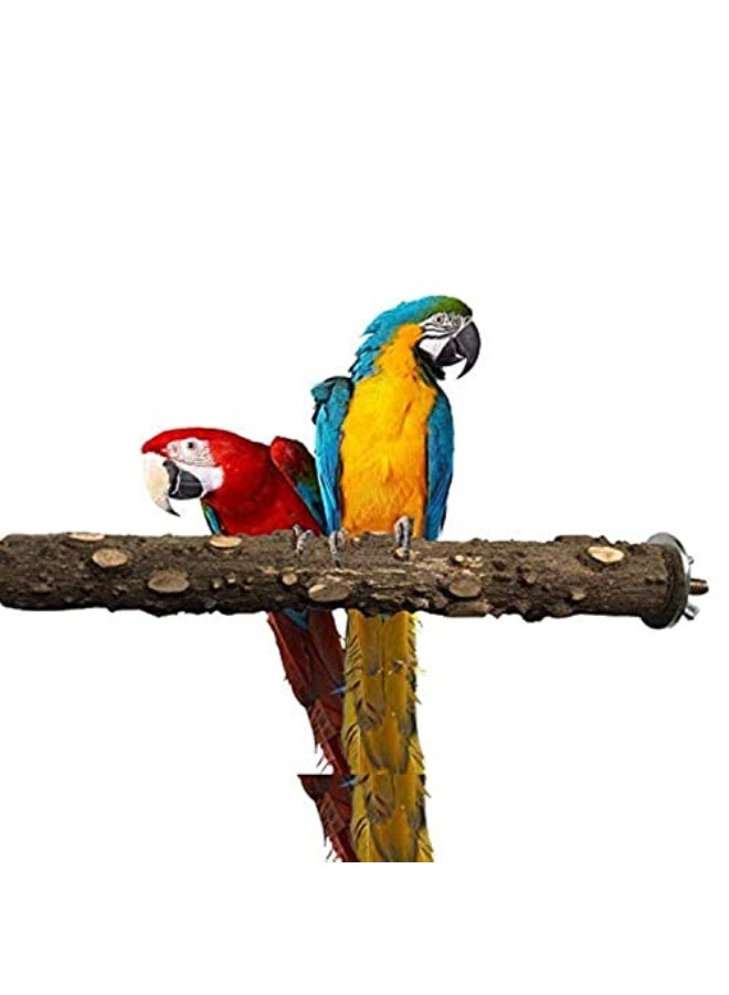 Generic Antole 20Cm Parrot Bird Natural Logs Branch Bird Bite Claw Grinding Pepper Wood Standing Stick Perches Wood Portable Toy  - Image 1
