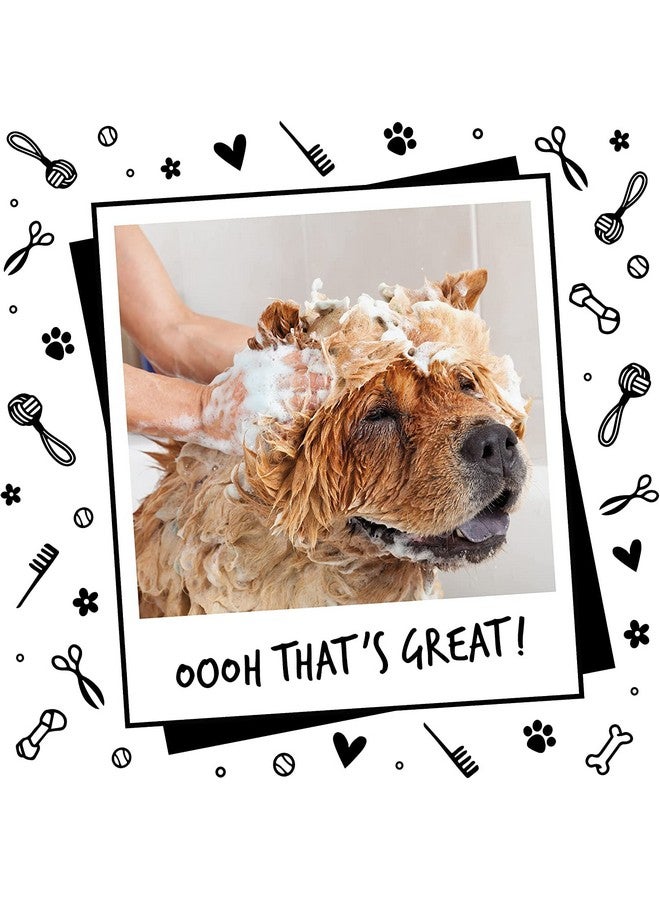 بت شامبو أوه ماي دوج الخالي من البارابين مع بلسم كريمي للحيوانات الأليفة للجراء والقطط - للقطط والجراء - خفيف - 1000 مل - Image 2