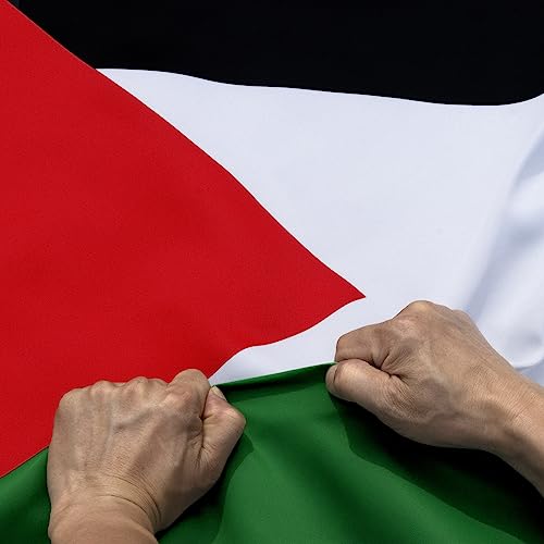 Anley RipProof Double Sided 3Ply Palestine Flag 3x5 Foot Vivid Color Canvas Header and Wrinkle Resistant The Strongest Longest Lasting Palestinian National Flags 3 X 5 Ft - Image 1