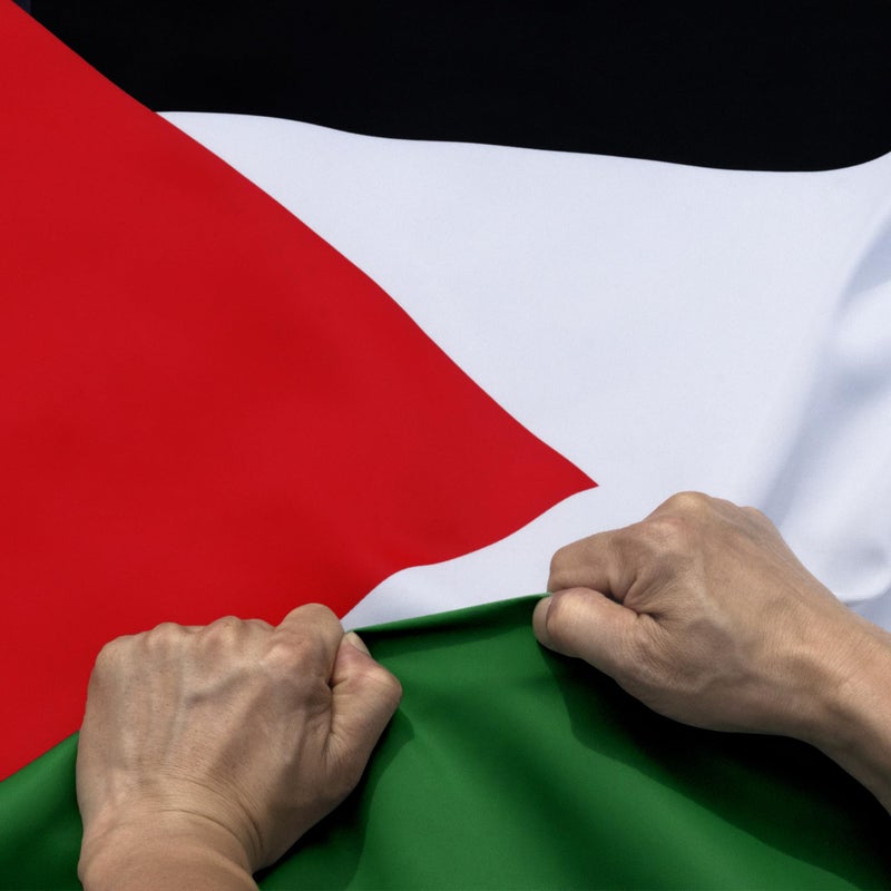 Anley RipProof Double Sided 3Ply Palestine Flag 3x5 Foot Vivid Color Canvas Header and Wrinkle Resistant The Strongest Longest Lasting Palestinian National Flags 3 X 5 Ft - Image 2