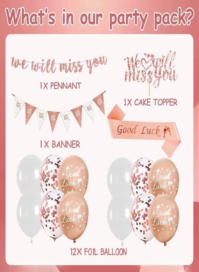 Vynflick Farewell Going Away Party Decorations-We Will Miss You Banner for Coworker Leaving, Goodbye Party Decorations with Good Luck Sash Ballons Cake Topper, Funny Goodbye Gifts for Office Women - Image 2
