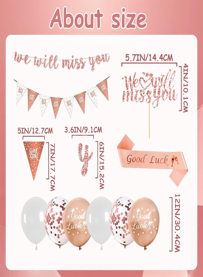 Vynflick Farewell Going Away Party Decorations-We Will Miss You Banner for Coworker Leaving, Goodbye Party Decorations with Good Luck Sash Ballons Cake Topper, Funny Goodbye Gifts for Office Women - Image 4