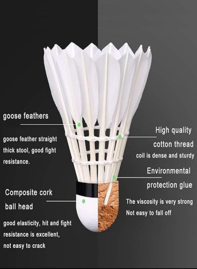DESCTIDY مجموعة ريش الريش المتينة من ديسكتيدي، 10 قطع | تصميم ريش عالي الأداء للريش في الأماكن المغلقة والمفتوحة | طيران ثابت واستقرار للتدريب والمباريات (عبوة من 10 قطع) - Image 5