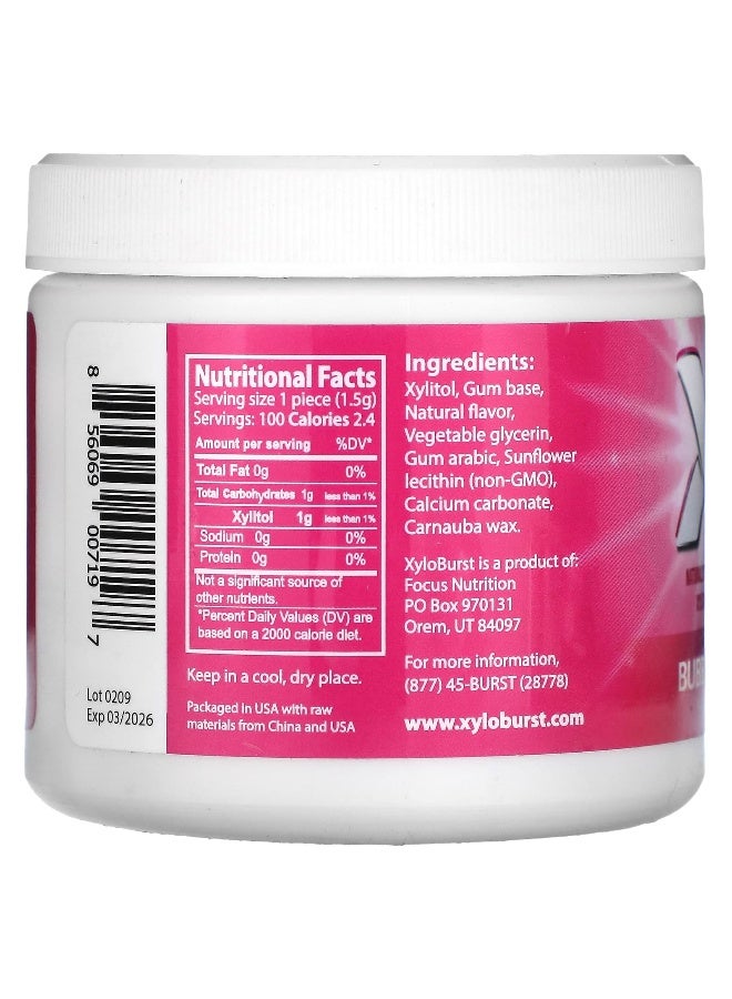 Xyloburst Xyloburst, Xylitol Gum, Bubble Gum, 100 Pieces, 5.29 oz (150 g)  - Image 2