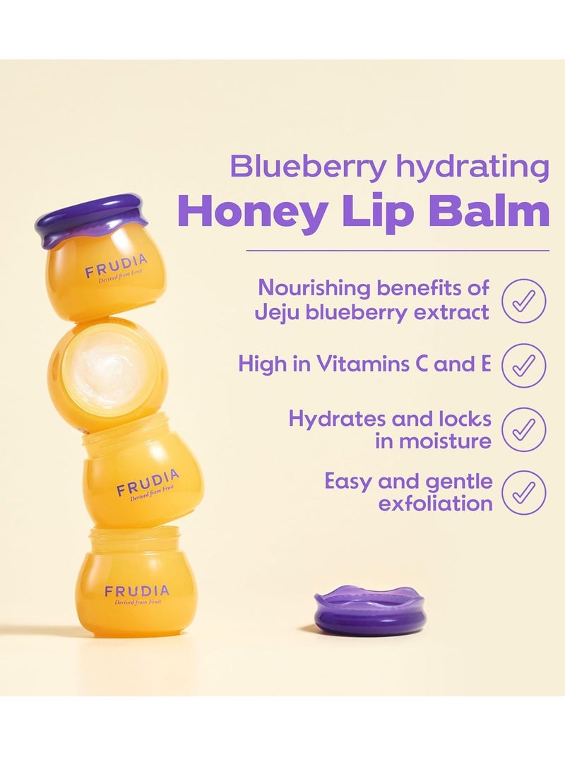 Blueberry Honey Lip Balm - pzsku/Z574032D1DC50D854FC13Z/45/1741440257/ea4c9696-8158-4295-9499-974492a8063d