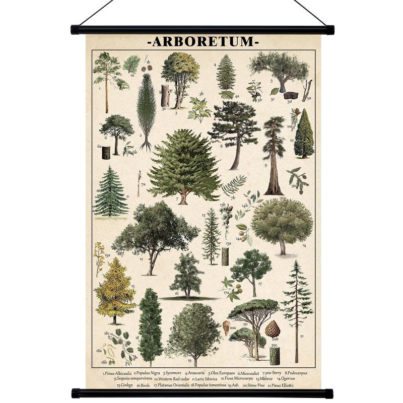 ديكور جدار بوستر جيي العتيق فن الجدران المعلق رسم توضيحي لرسوم بيانية صور لغرفة المعيشة المكتب الفصل الدراسي غرفة النوم إطار 158 × 236 بوصة شجرة