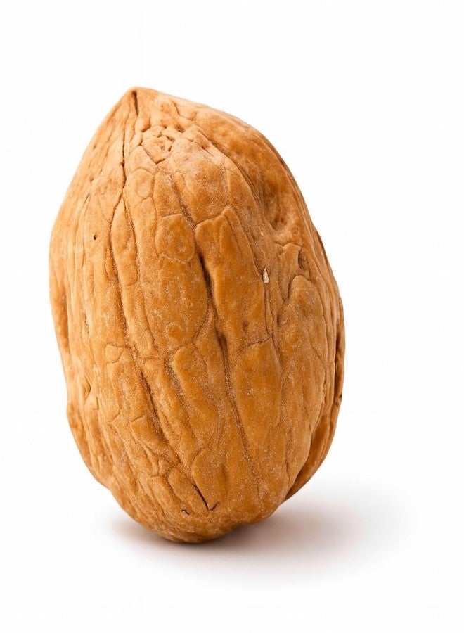 Sky Ecommerce Crazy Nuts | California Grown Whole Walnuts In Shell, 1lb | Raw Walnuts Whole Bulk, Nuts in Shells for Squirrels - Image 2