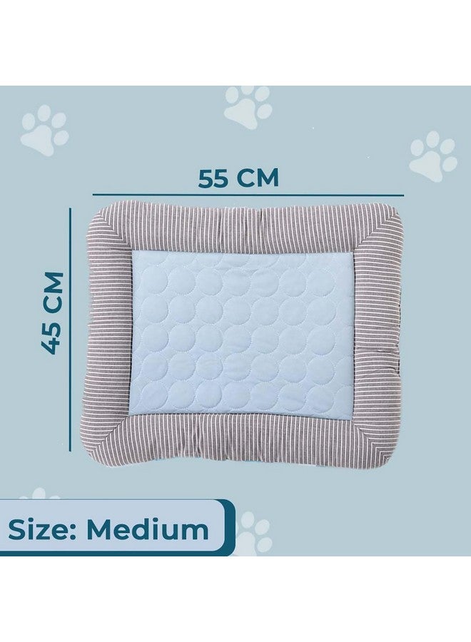 Kuber Industries Rectangular Dog & Cat Bed|Yarn Dyed Oxford Cloth|Nylon And Polyester With Cotton Filling|Self-Cooling Bed For Dog & Cat|Small Light-Weight & Durable Dog Bed|Zqcj005B-M|Blue - Image 2