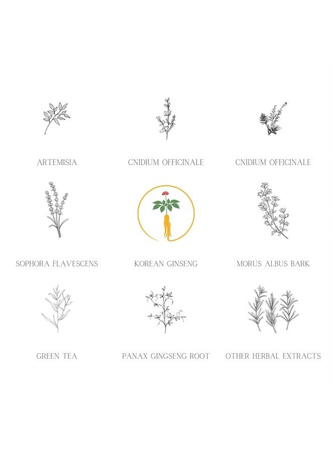 DAENG GI MEO RI كي جولد - مجموعة شامبو وعلاج ممتازة لتساقط الشعر، والشعر الخفيف، والوقاية من الشعر الرمادي وعلاجه، شامبو عشبي طبي، طبيعي بالكامل، العلامة التجارية الأولى للشعر في كوريا - Image 3