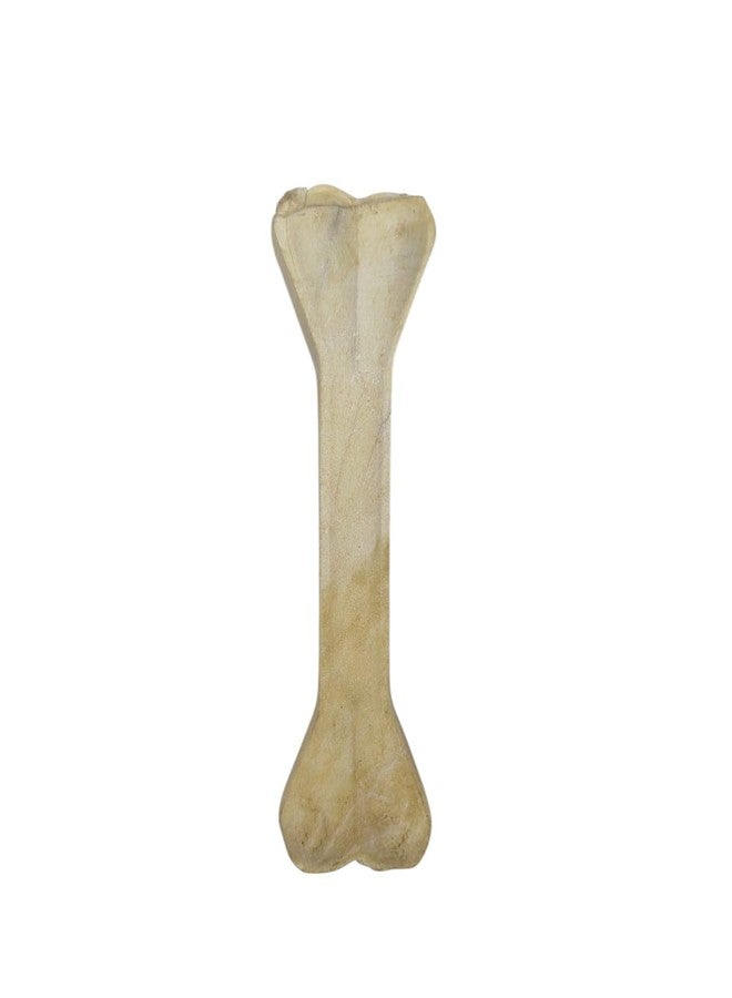 Choostix Pressed young Adult Dog Bone, Chicken Flavor, Large (8-inch x 1 Piece) - Image 1