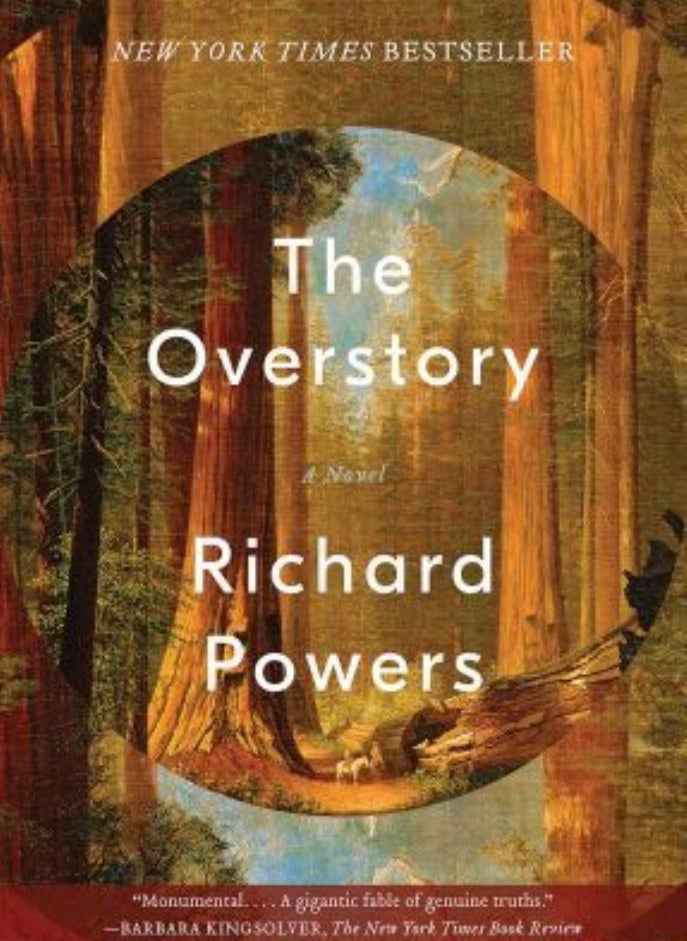 Overstory