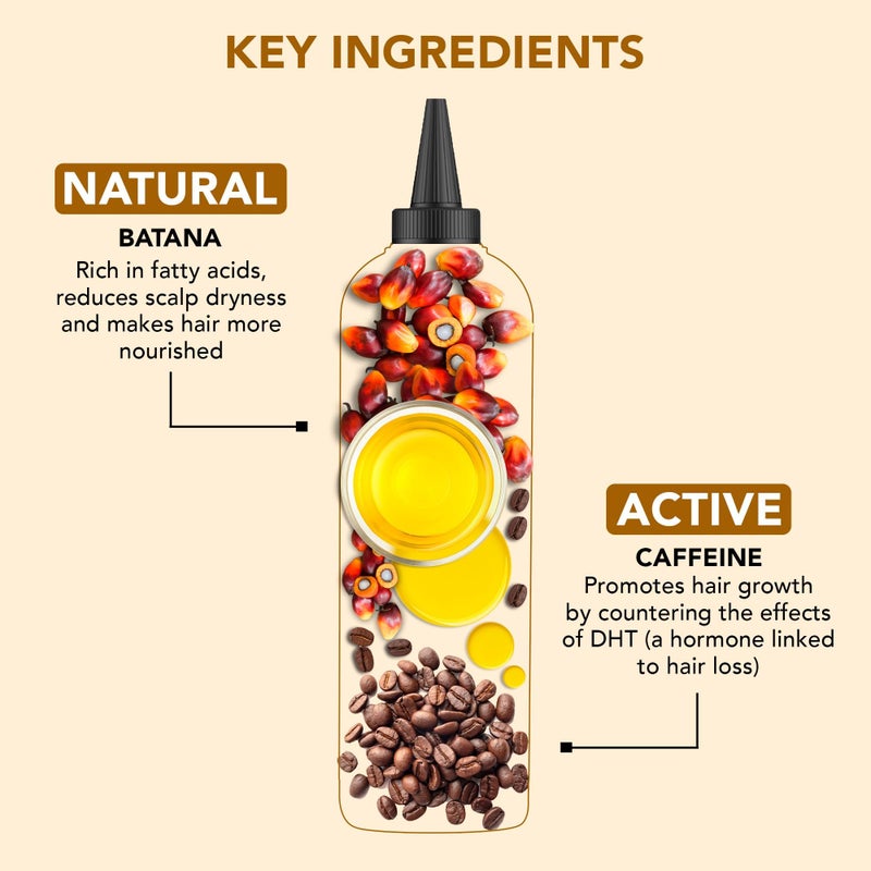 Botanic Hearth زيت شعر بوتانيك هيرث باتانا وكافيين (6.7 أونصة سائلة) | علاج لتجديد وتقوية الشعر للحصول على شعر أكثر كثافة وصحة | خالي من البارابين | مناسب لجميع أنواع الشعر - Image 3