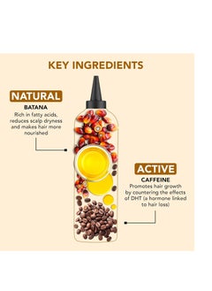 Botanic Hearth Botanic Hearth Batana & Caffeine Hair Oil (6.7 fl oz) | Revitalizing and Strengthening Hair Treatment for Fuller, Healthier-Looking Hair | Paraben Free | Suitable for All Hair Types  - Image 3