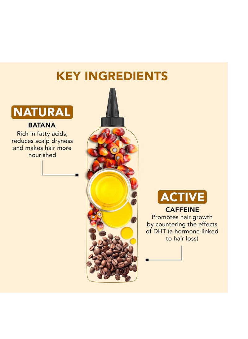 Botanic Hearth Botanic Hearth Batana & Caffeine Hair Oil (6.7 fl oz) | Revitalizing and Strengthening Hair Treatment for Fuller, Healthier-Looking Hair | Paraben Free | Suitable for All Hair Types  - Image 3
