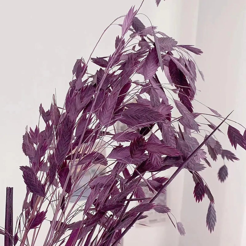 Bluejw Little Hope Grass Eternal Preserved Dried Flower Bouquet – Long-Lasting 3-5 Years, Post-Modern Home Decor Ornament with Natural Dried Plants - Image 1