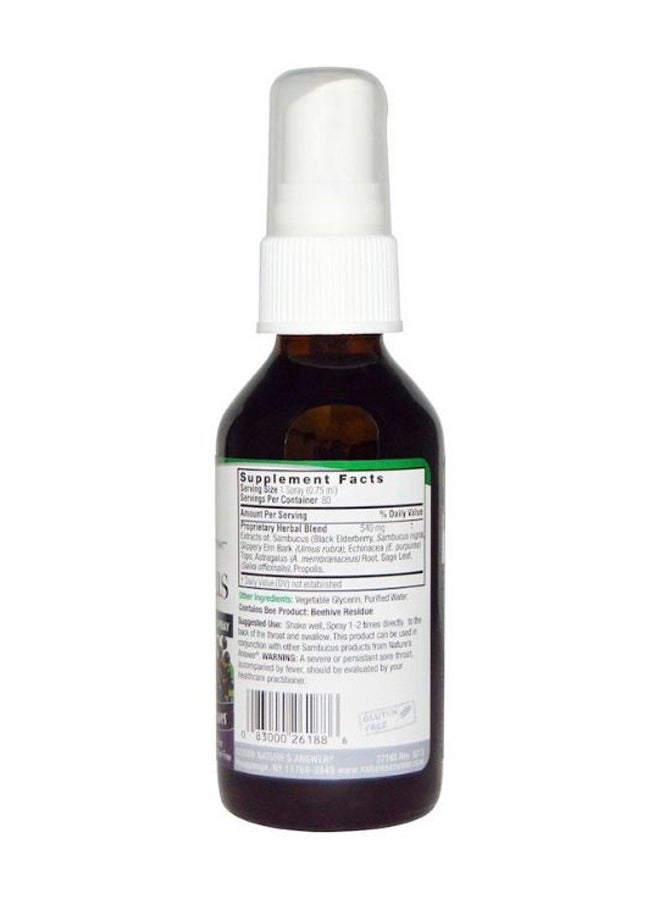 NATURE'S ANSWER Sambucus Black Elder Berry Extract Spray - Image 2