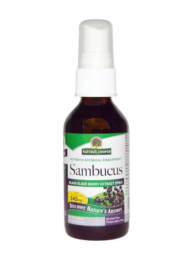 NATURE'S ANSWER Sambucus Black Elder Berry Extract Spray - Image 1