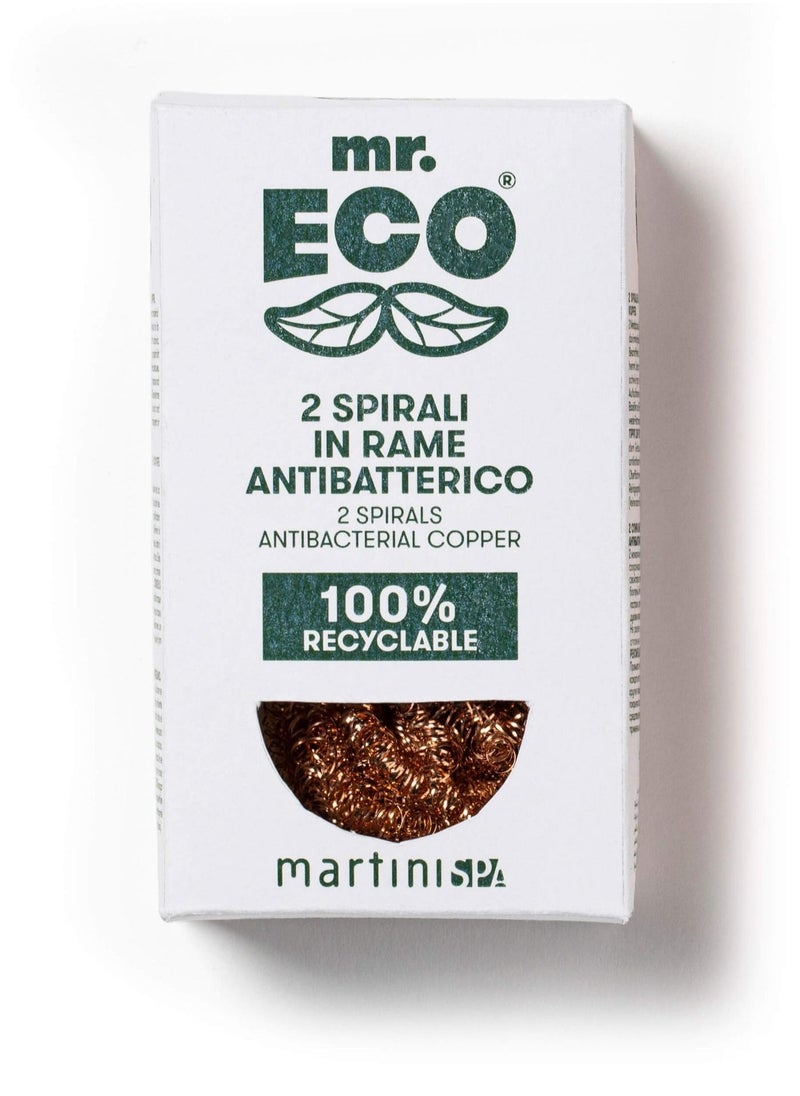 MARTINI 100% Antibacterial Copper Sponge 2 Pieces  - Image 1