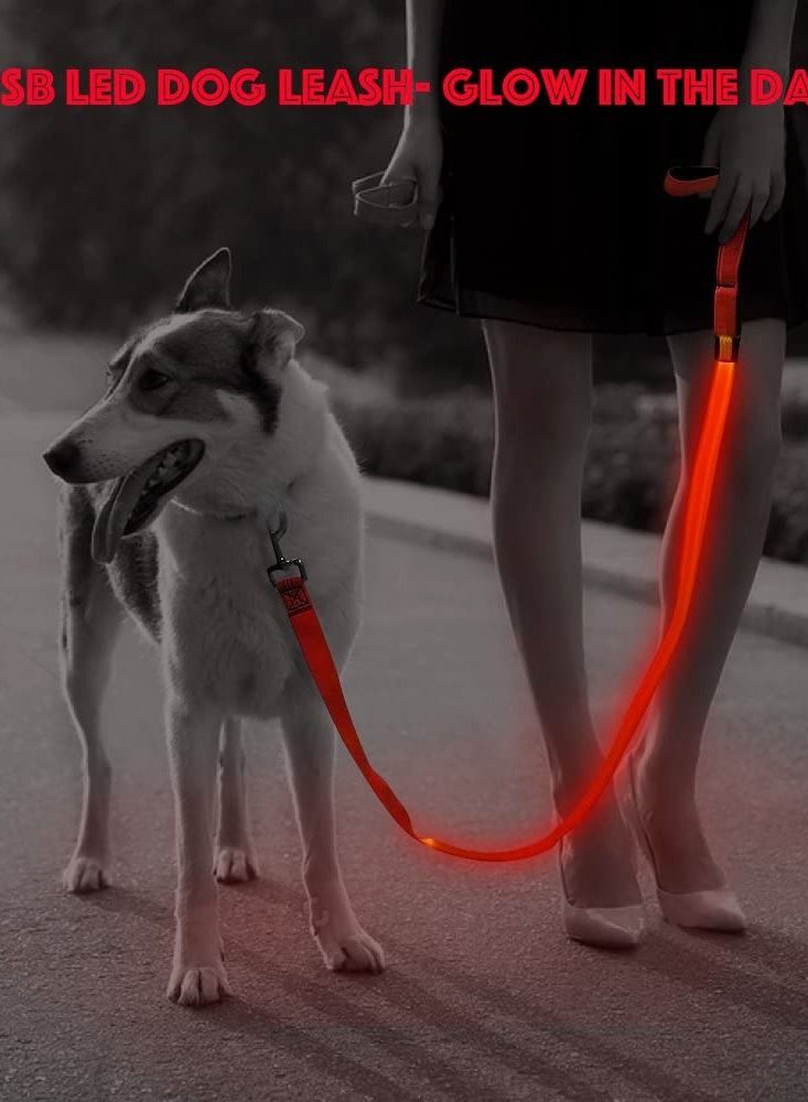 USB Rechargeable Flashing Pet Leash Pink Large - Image 3
