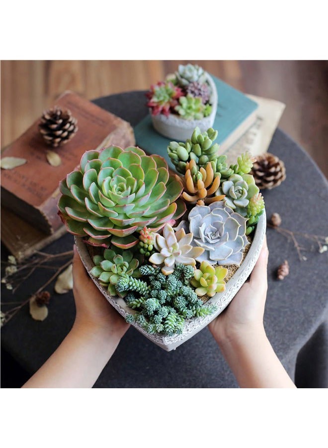 NINEXY Silicone Concrete Flower Pots Molds,Silicone Planter Molds I Love U Design Succulent Plant Flowerpot Moulds Cement Clay Molds DIY Handcraft Decoration Tool - Image 3