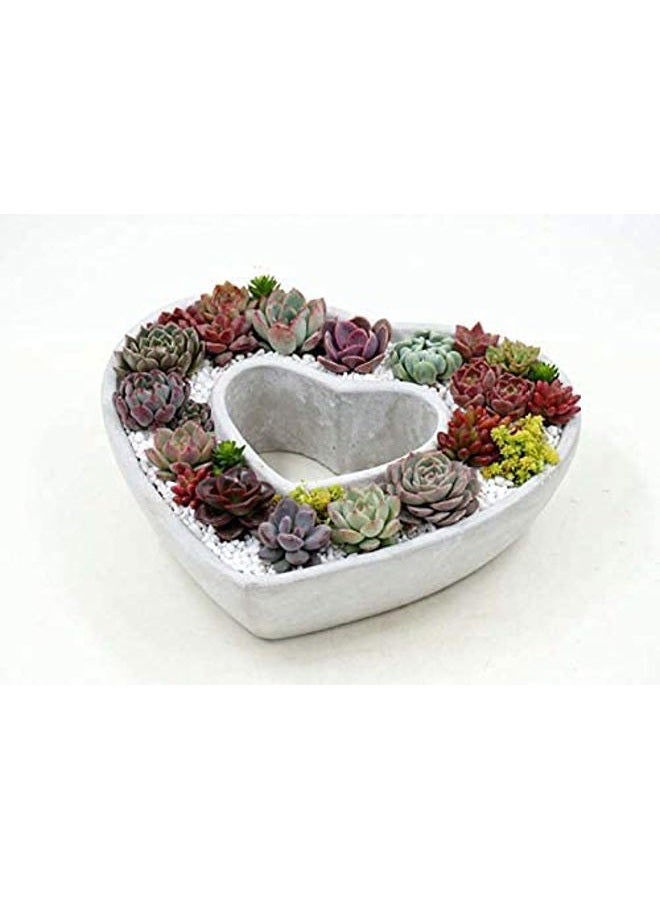 NINEXY Silicone Concrete Flower Pots Molds,Silicone Planter Molds I Love U Design Succulent Plant Flowerpot Moulds Cement Clay Molds DIY Handcraft Decoration Tool - Image 4