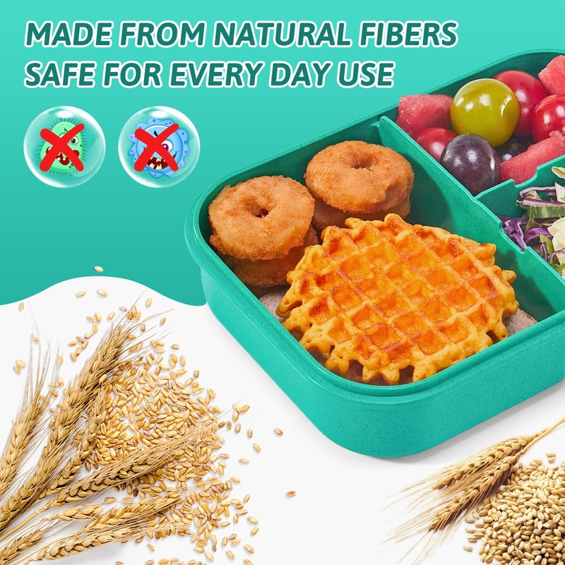 MISS BIG Bento Box Bento Box for Kids Lunch Box Kids Ideal Leakproof Kids Lunch Box Lunch Containers No BPAs and Chemical Dyes M/W D/W & Fridge Safe(1150ml Green) - Image 4