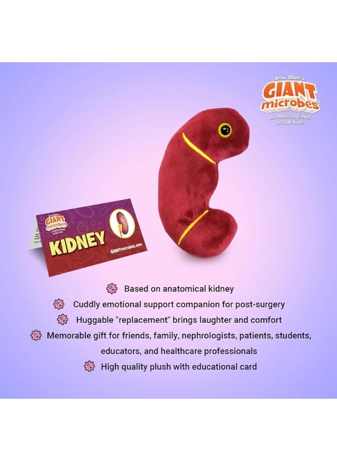 Giant Microbes - Giantmicrobes Kidney Plush Kidney Stuffed Animal Kidney Transplant Gifts Kidney Donor Gifts Kidney Pillow Urology Gifts Nephrology Gifts Dialysis Nurse Gifts Gifts For Urologist Kidney Toy - Image 1