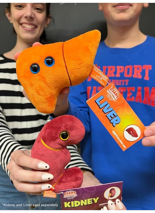 Giant Microbes - Giantmicrobes Kidney Plush Kidney Stuffed Animal Kidney Transplant Gifts Kidney Donor Gifts Kidney Pillow Urology Gifts Nephrology Gifts Dialysis Nurse Gifts Gifts For Urologist Kidney Toy - Image 1