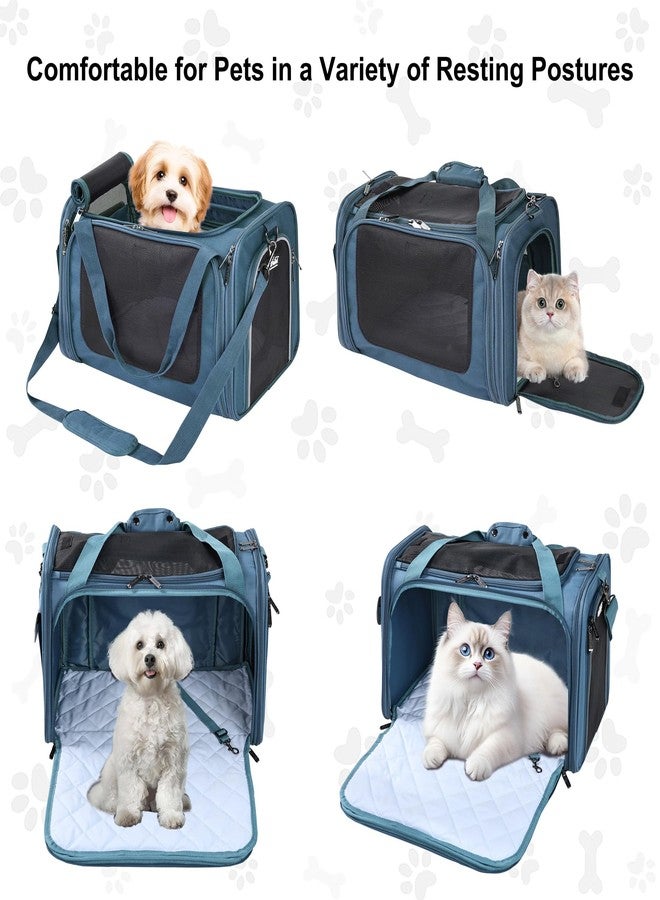 EliteField Deluxe Soft-Sided Pet Carrier (3 Year Warranty, Airline Approved), Travel Bag for Dogs, Cats & Small Pets, with Expandable Mat - Image 2