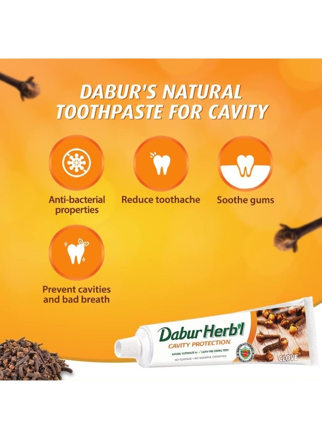 دابر معجون أسنان دابور العشبي الصغير بخلاصة القرنفل لحماية الأسنان من التسوس (10 قطع × 20 غرام) | حجم مناسب للسفر | معجون أسنان طبيعي خالٍ من الفلورايد لحماية الأسنان من التسوس وأسنان قوية | عبوة اقتصادية - Image 4