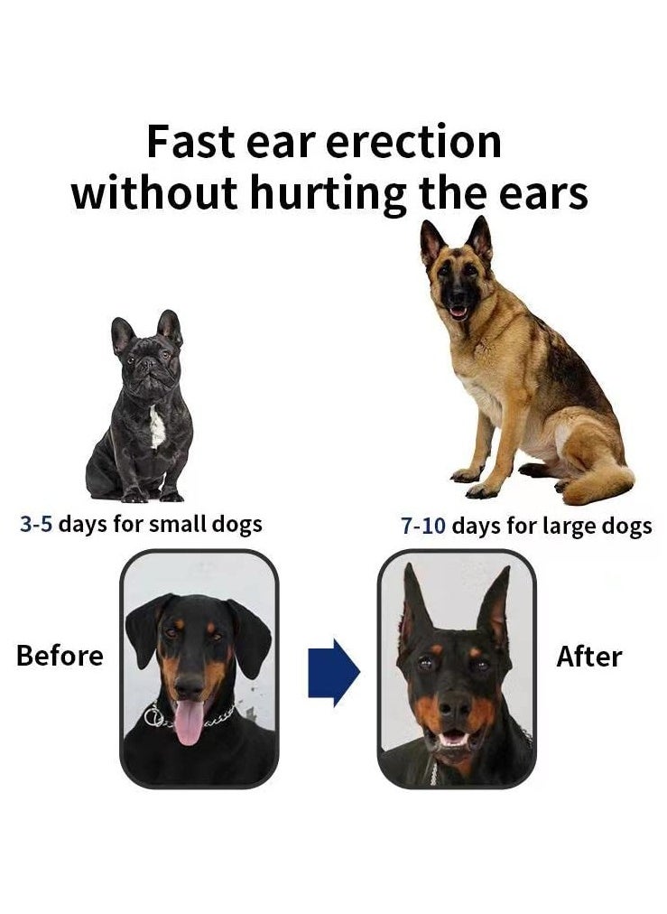 Generic - Dog Ear Support Sticker Tool for Doberman, Vertical Holder for Ear Correction, New Design, Size 7 by 3.5 cm - Image 1