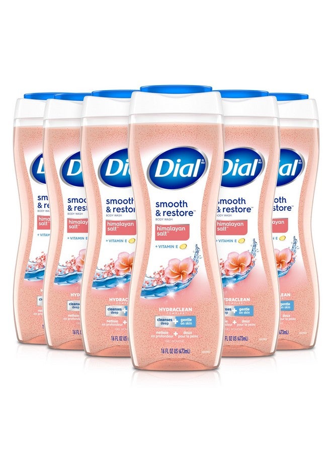 Dial Body Wash Smoothe & Restore Himalayan Salt 16 Fl Oz Pack Of 6 - Image 1