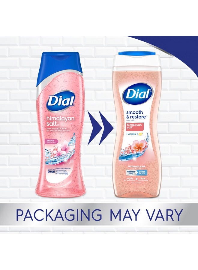 Dial Body Wash Smoothe & Restore Himalayan Salt 16 Fl Oz Pack Of 6 - Image 2