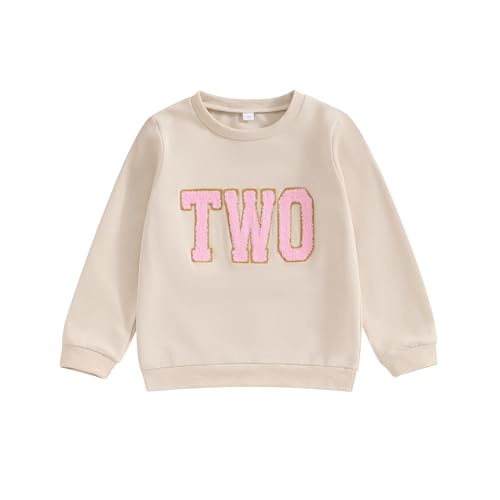 Lamuusaa Toddler Baby Girl Boy Birthday Outfit One/Two/Three/Four/Five/Six Embroidery Sweatshirt Shirts Birthday Gift - Image 1
