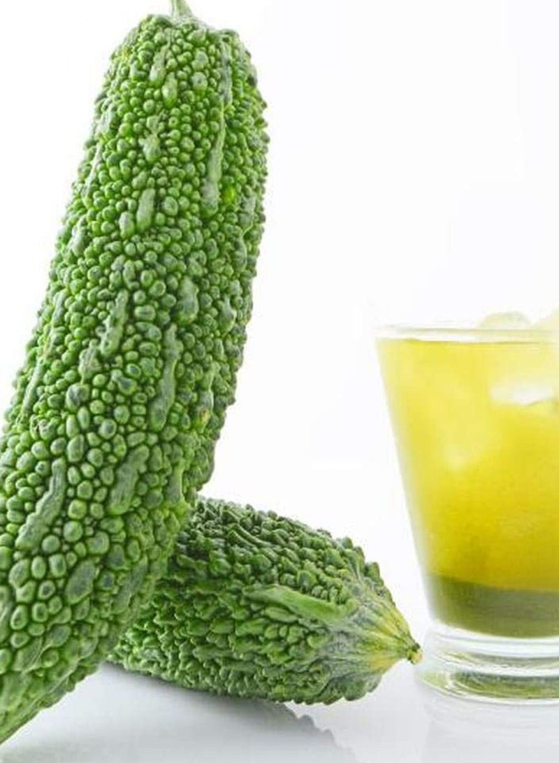 GGOOT 100pcs Bitter Gourd Seeds Prolific Heirloom Vine Vegetable Yellow Flowers Pleasant Aroma  - Image 1
