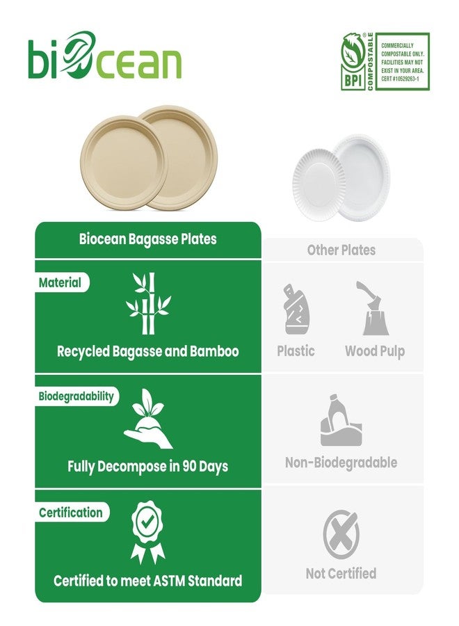 biocean 12.5 Inch Compostable Oval Plates [125-Value Pack] - Sustainable and Heavy-Duty Compostable Paper Plates, Natural Sugarcane Bagasse Biodegradable Plate, Natural Brown - Image 3
