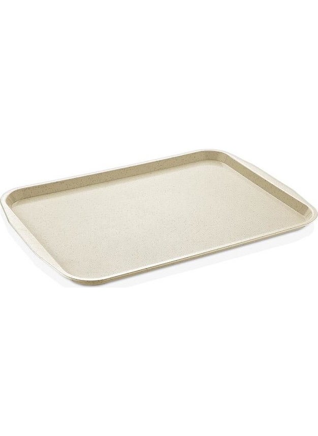 Abs Serving Tray 27*36 Brushed - pzsku/Z574F70AA70ABCF356AA9Z/45/_/1725723415/821d0d14-69d7-482a-94a0-b1a107d02a55