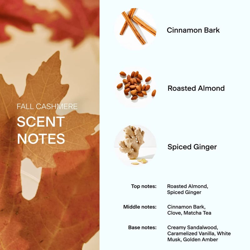 Skylar Fall Cashmere Eau de Parfum - Hypoallergenic & Clean Perfume for Women & Men, Vegan & Safe for Sensitive Skin - Spicy Gourmand Perfume with Notes of Cinnamon, Almond & Ginger - 50mL /1.7 Fl oz - Image 5